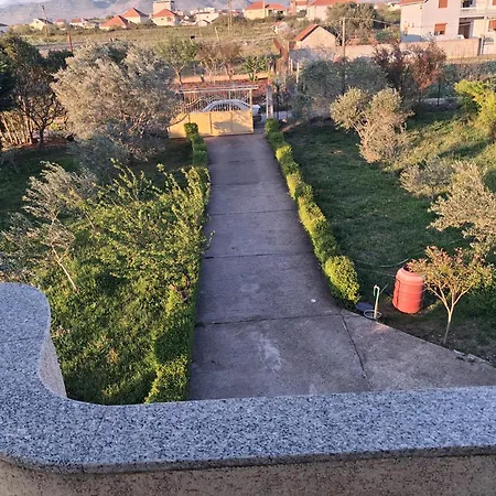 Elezi *